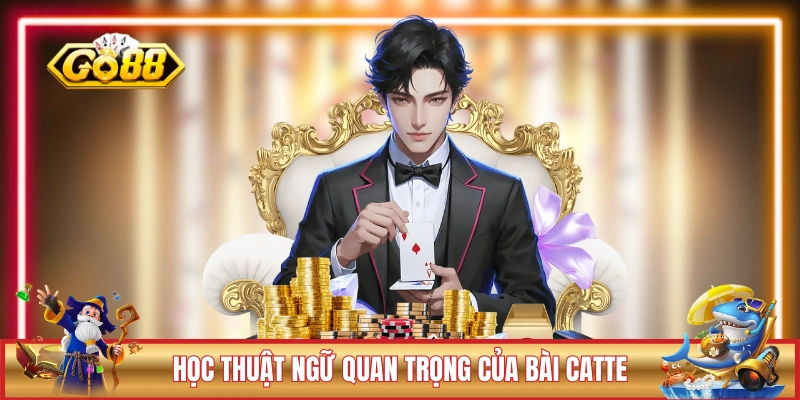 Học thuật ngữ quan trọng của bài Catte GO88